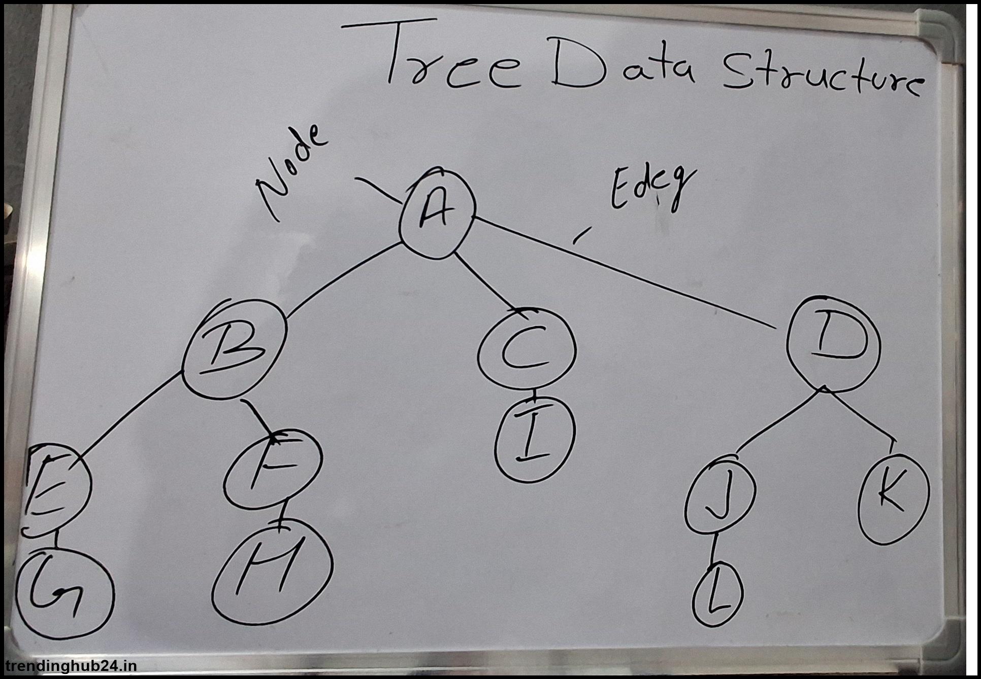 what is the difference between tree and graph data structure
